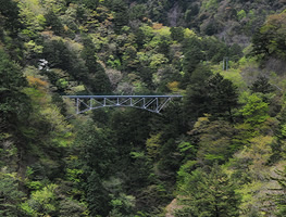 飛龍橋の写真