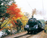紅葉とSL（蒸気機関車）