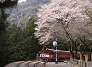 千頭　アプト式鉄道の写真