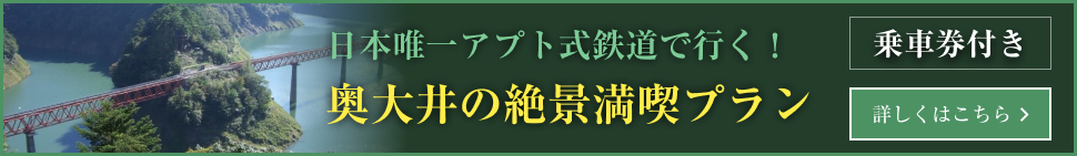 奥大井の絶景満喫プラン
