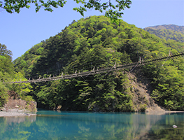 夢のつり橋の写真