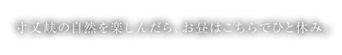 寸又峡の自然を楽しんだら、お昼はこちらでひと休み。