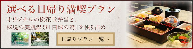 選べる日帰り満喫プラン