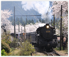 大井川鐵道SLの写真