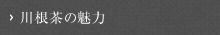 川根茶の魅力はこちら